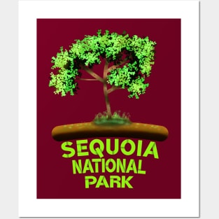Sequoia National Park Posters and Art